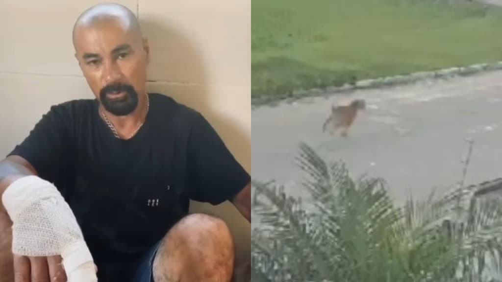 Policial salva homem durante ataque de pitbull em Itajaí