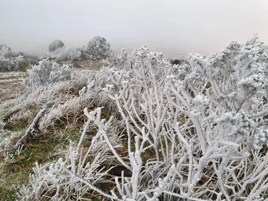 Com -6,4ºC, cidade de SC registra menor temperatura do ano no Sul