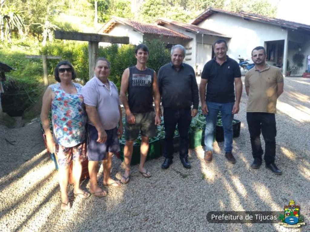 Agricultura de Tijucas doa mais de 10 mil mudas aos produtores locais