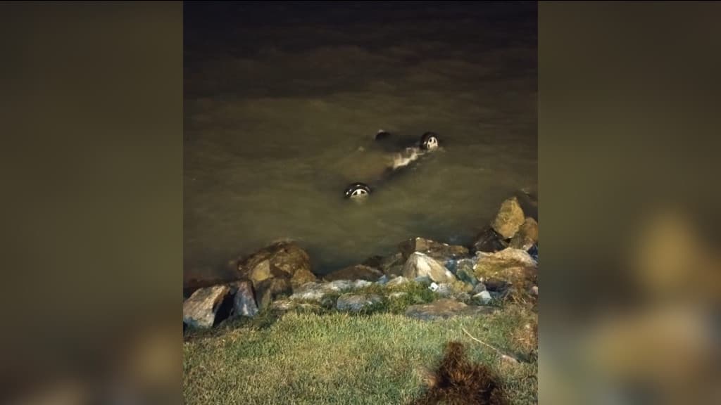 Motorista sobrevive após perder controle do carro e cair no mar de Florianópolis