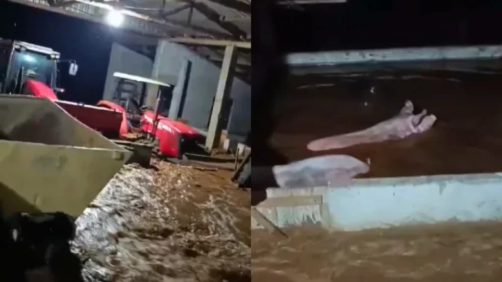 Temporal devasta Rio das Antas com enxurrada e destruição
