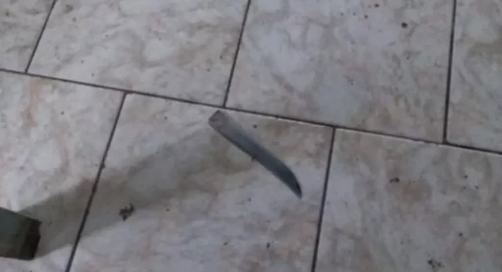 Após “errar” facada, homem morde e arranca pedaço da orelha do irmão em SC