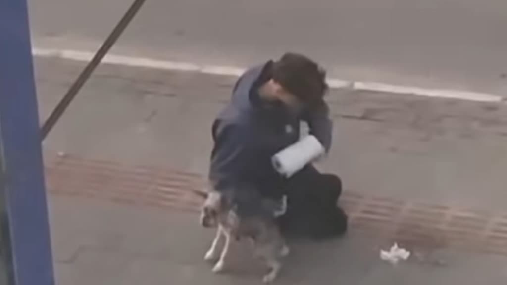 Nova moda? Jovem de SC é flagrado secando xixi de cachorro em calçada