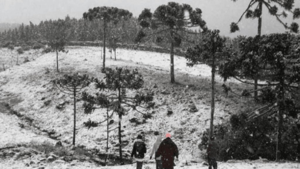 Neve à vista? Projeções indicam possibilidade em Santa Catarina