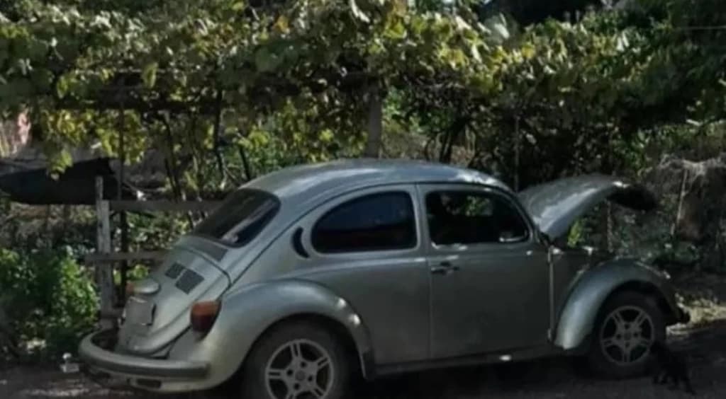 Adolescentes são flagrados com travesti dentro de Fusca furtado