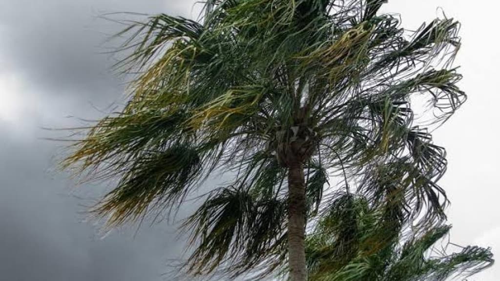 Alagamentos, enxurradas e deslizamentos: o que esperar deste fim de semana em SC?