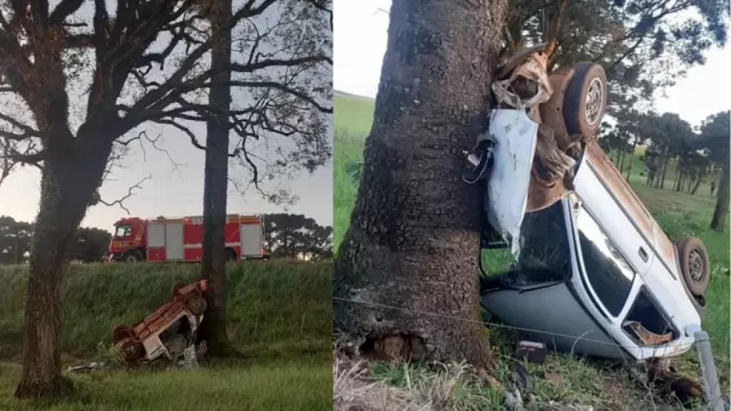 Carro capota, bate em árvore e jovens ficam feridos em SC