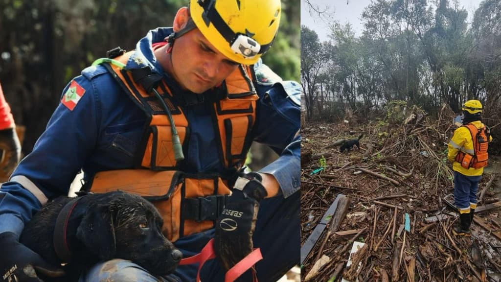 Bombeiros de Santa Catarina encerram semana de buscas no RS