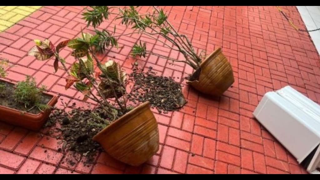 Aluno de 12 anos é apreendido após causar tumulto e agridir funcionária em escola de SC