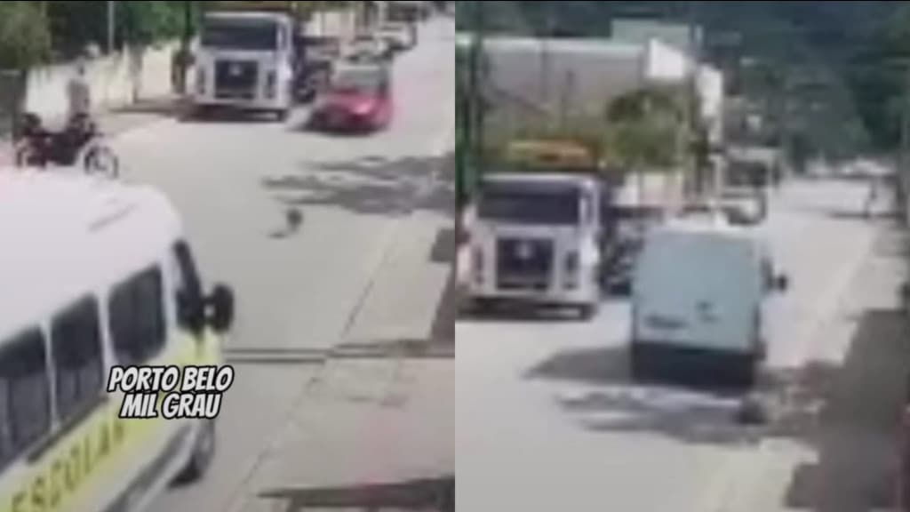 Van escolar atropela cachorro em Itapema e causa revolta nas redes sociais
