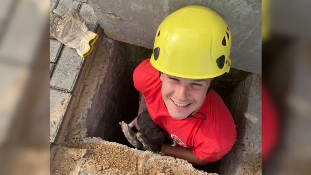 Bombeiros salvam filhotes de cachorros presos em bueiro