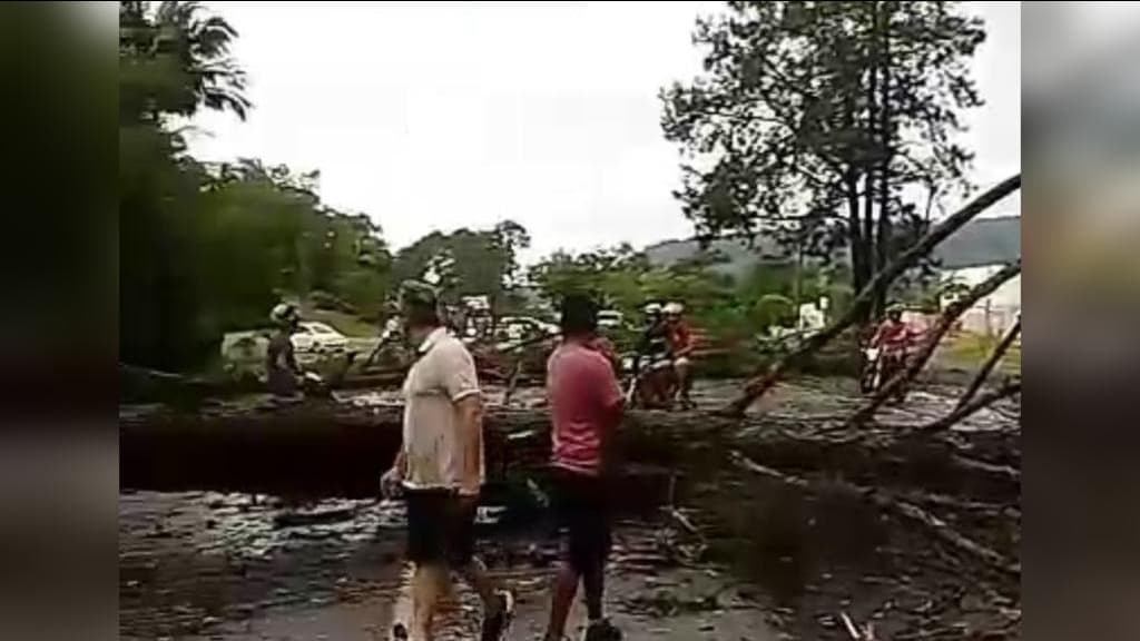 Temporal causa estragos e derruba árvores no Alto Vale