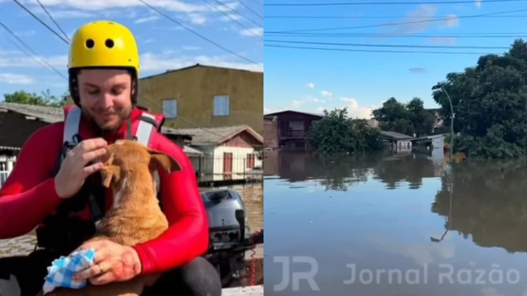 TRISTEZA: Voluntário catarinense relata animais e pessoas mortas no RS