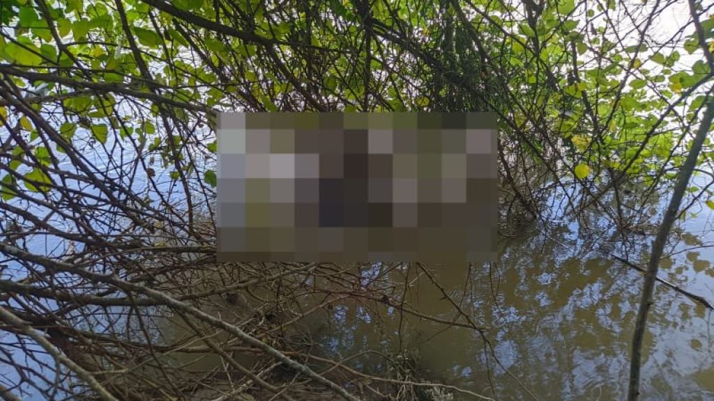 Corpo é encontrado em avançado estado de decomposição em rio de SC