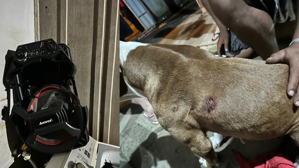 Discussão entre vizinhos por som alto termina com cachorro baleado em São João Batista