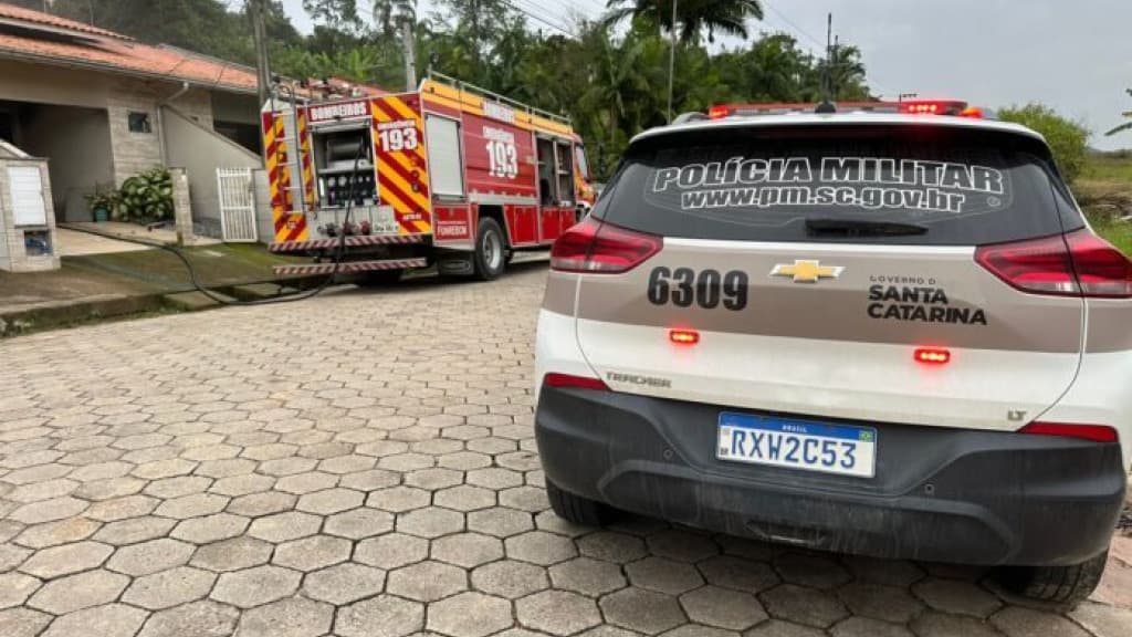 Homem mata seis gatos queimados para se vingar da ex, em Canelinha