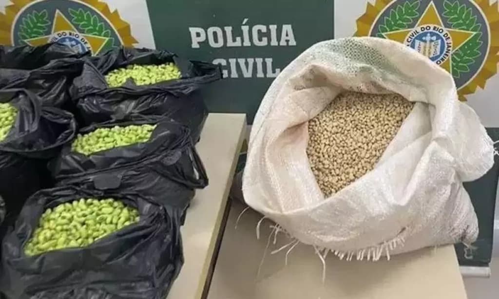 Homem é preso por pintar feijão de verde para enganar clientes