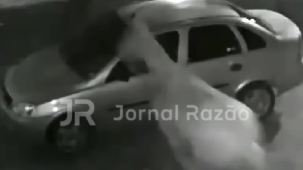 Cavalo surge “do nada” e “atropela” carro estacionado em cidade de SC