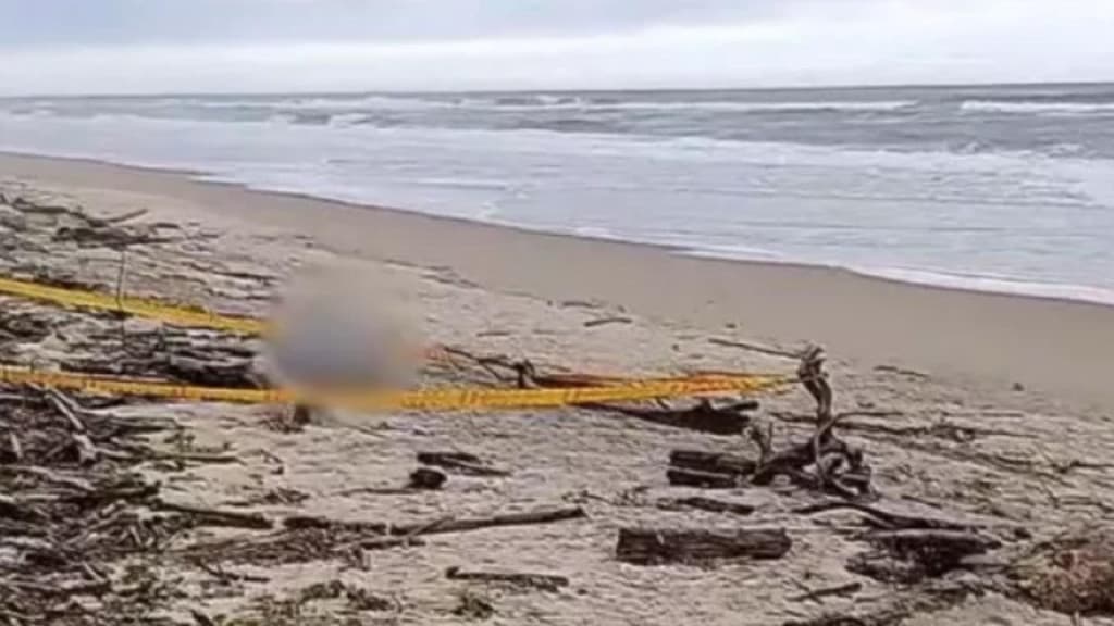 Corpo de homem é encontrado em praia de São Francisco do Sul