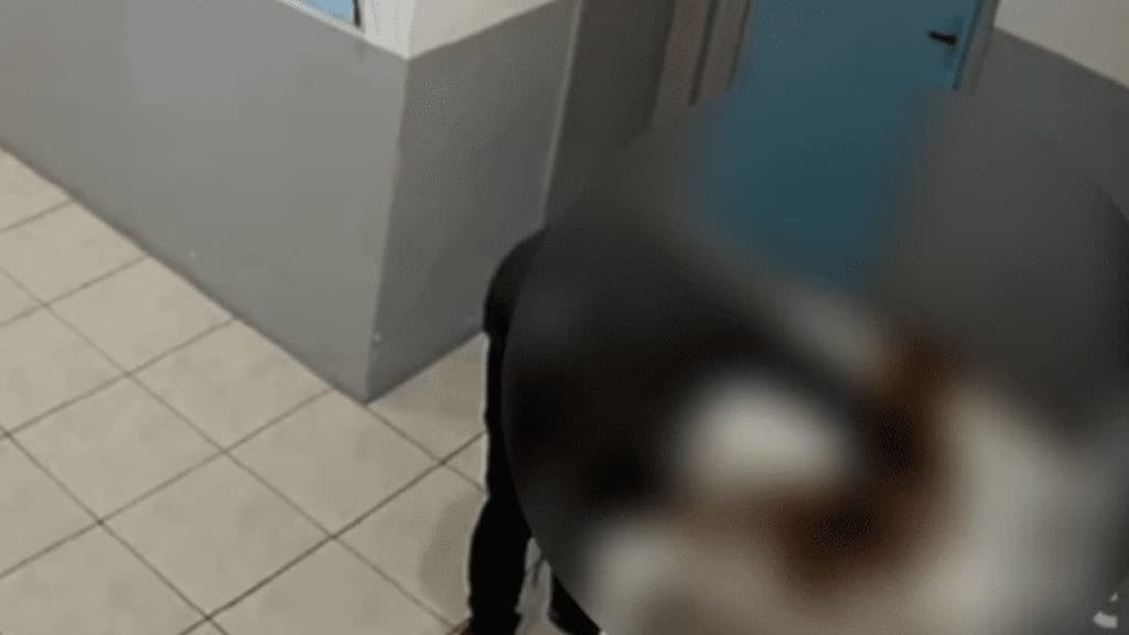 Vigilante é condenado por ter estuprado cachorro em creche de SC