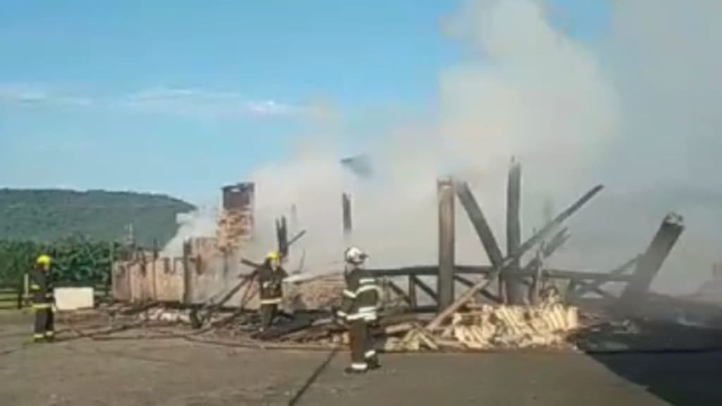 Cavalos morrem carbonizados após galpão ser incendiado