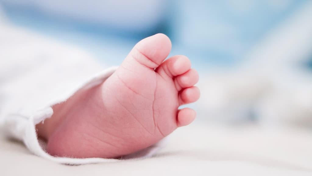 Professora é acusada de agredir bebê de 9 meses em creche de Santa Catarina