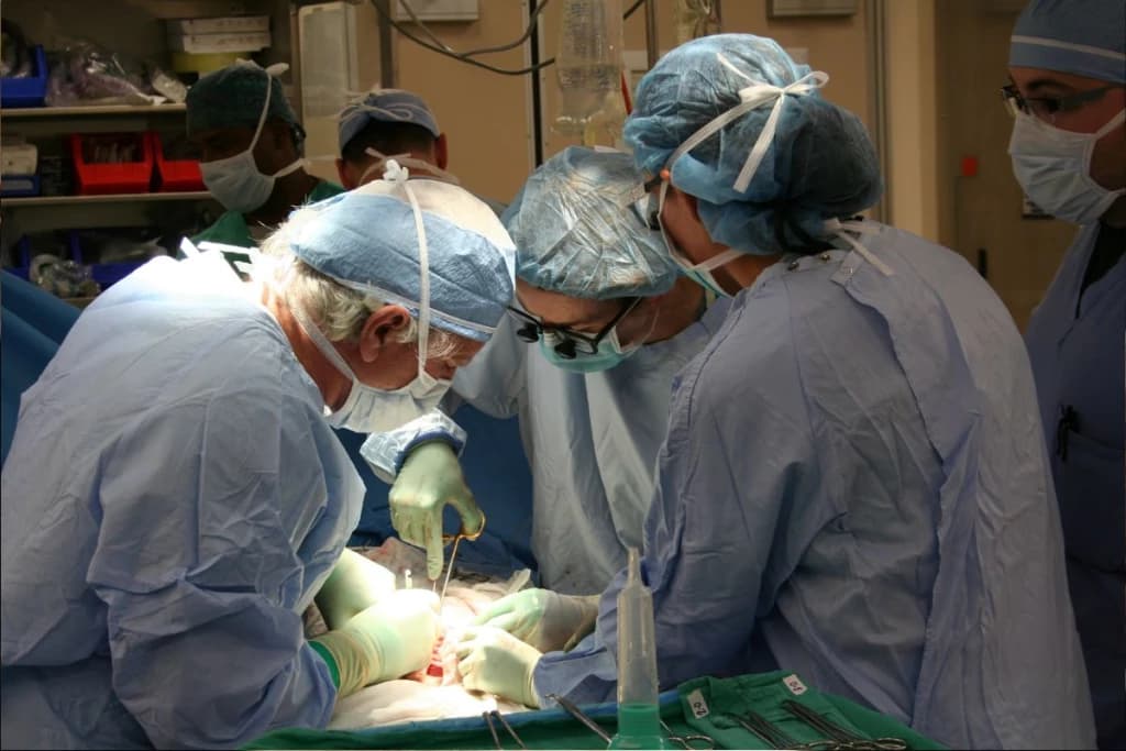 Médico doa seu próprio rim para ex-paciente