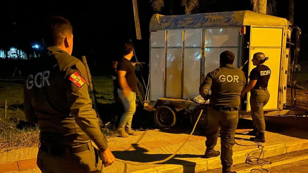 Operação policial flagra farra do boi em Porto Belo; animal foi resgatado