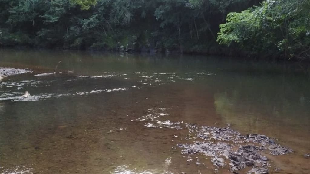 Homem é encontrado morto em rio na véspera do Réveillon