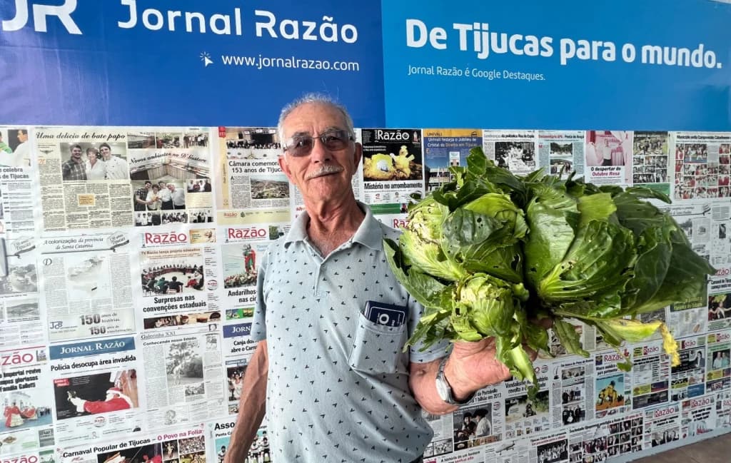 Morador de Tijucas colhe pé de repolho com 6 cabeças