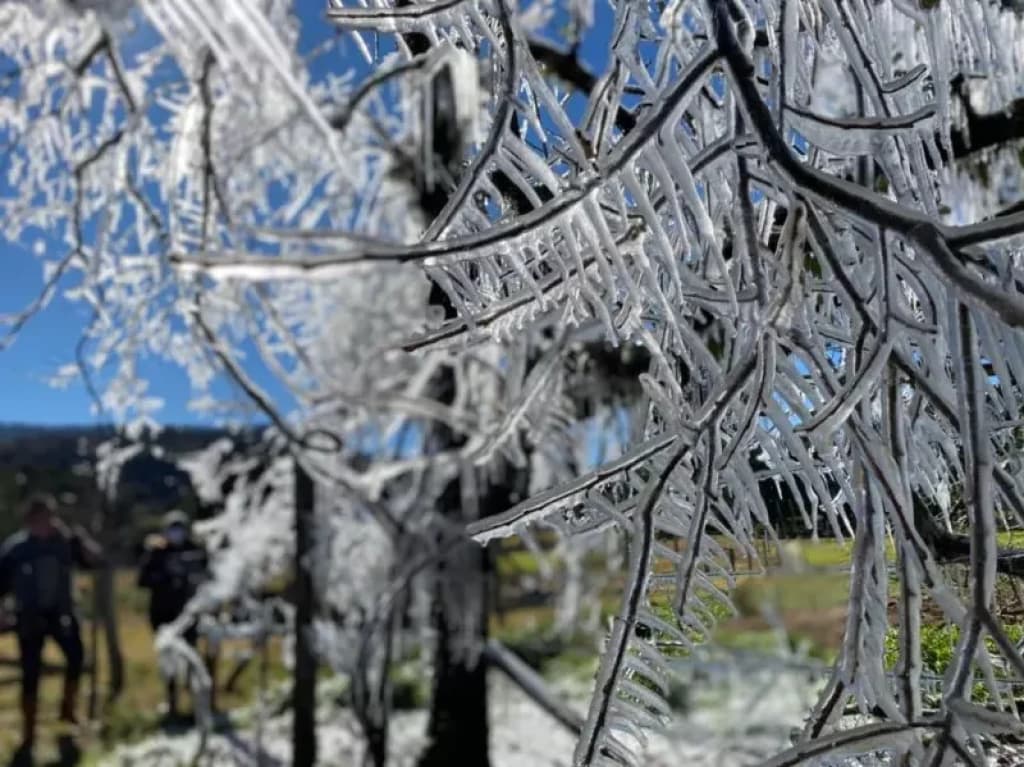 Novembro começa com frio intenso em SC