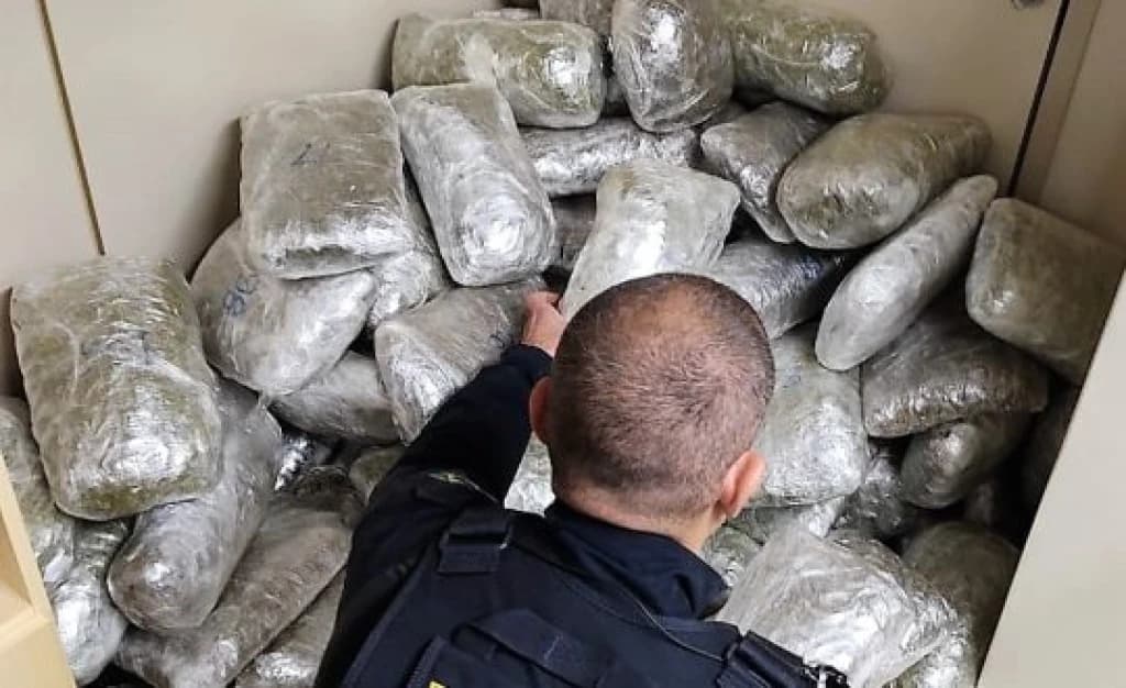 Polícia apreende caminhão carregado de skunk na BR-101 em Porto Belo