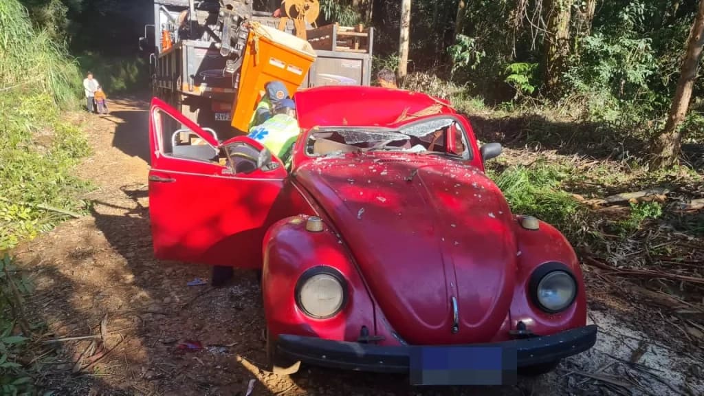 Árvore esmaga Fusca e deixa feridos no Oeste de Santa Catarina