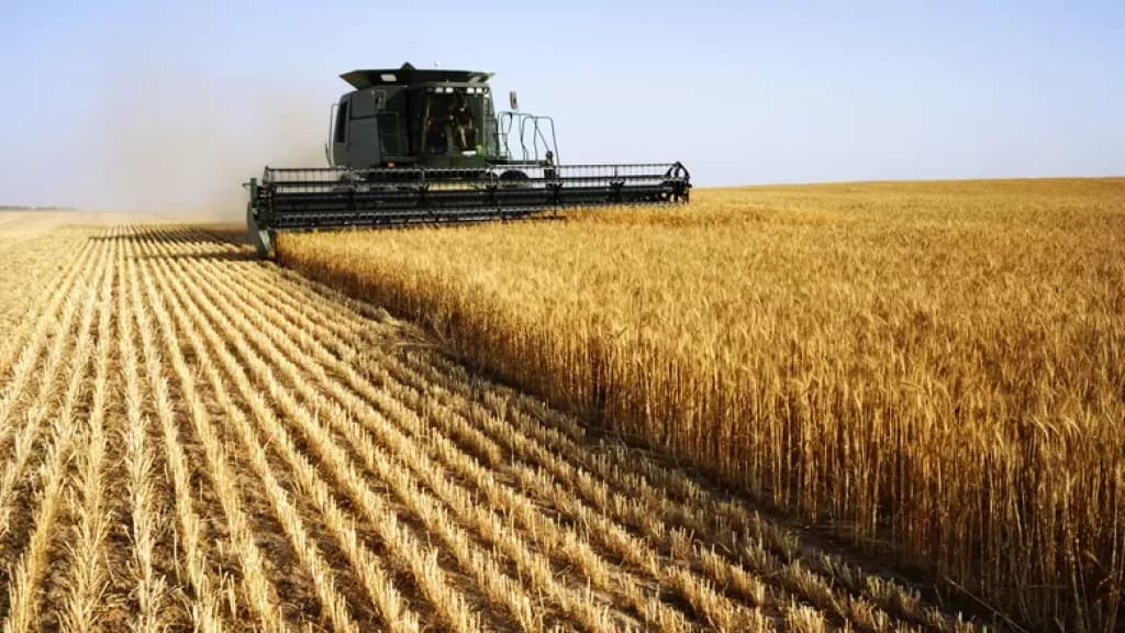 El Niño traz desafios e oportunidades para agricultura catarinense