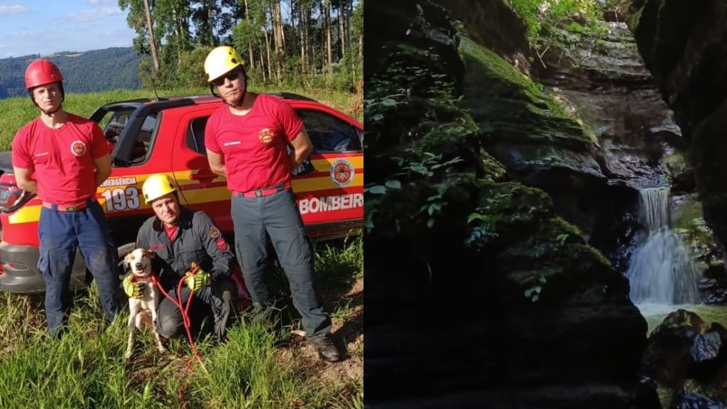 Cão desaparecido há uma semana é resgatado em Canyon