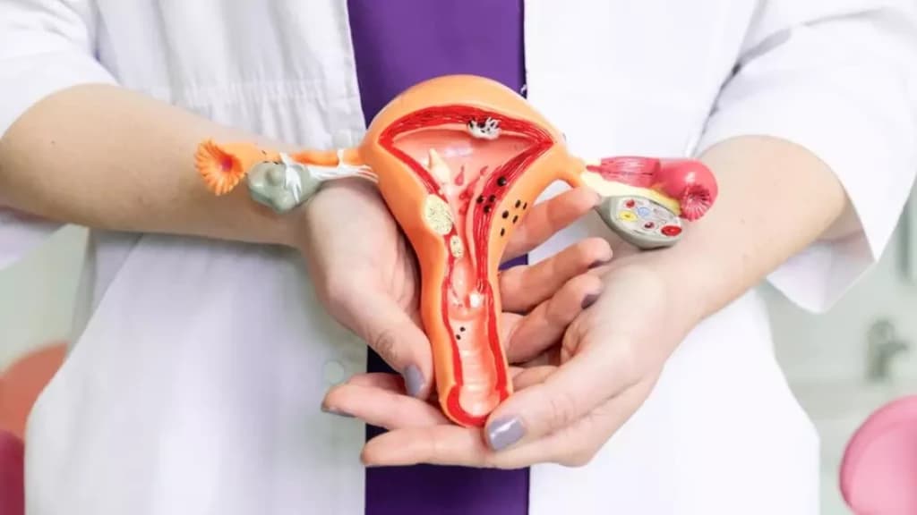 Mulheres não precisam mais da autorização dos parceiros para realizar a laqueadura