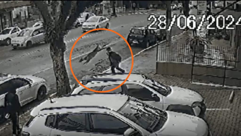 Idoso sofre ferimentos ao ser atropelado por cervo
