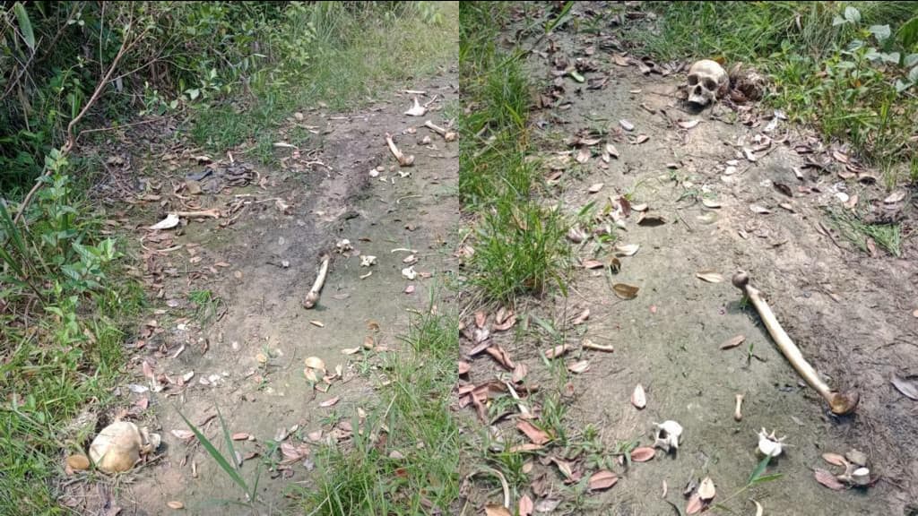 URGENTE: Ossada humana é encontrada em Itapema