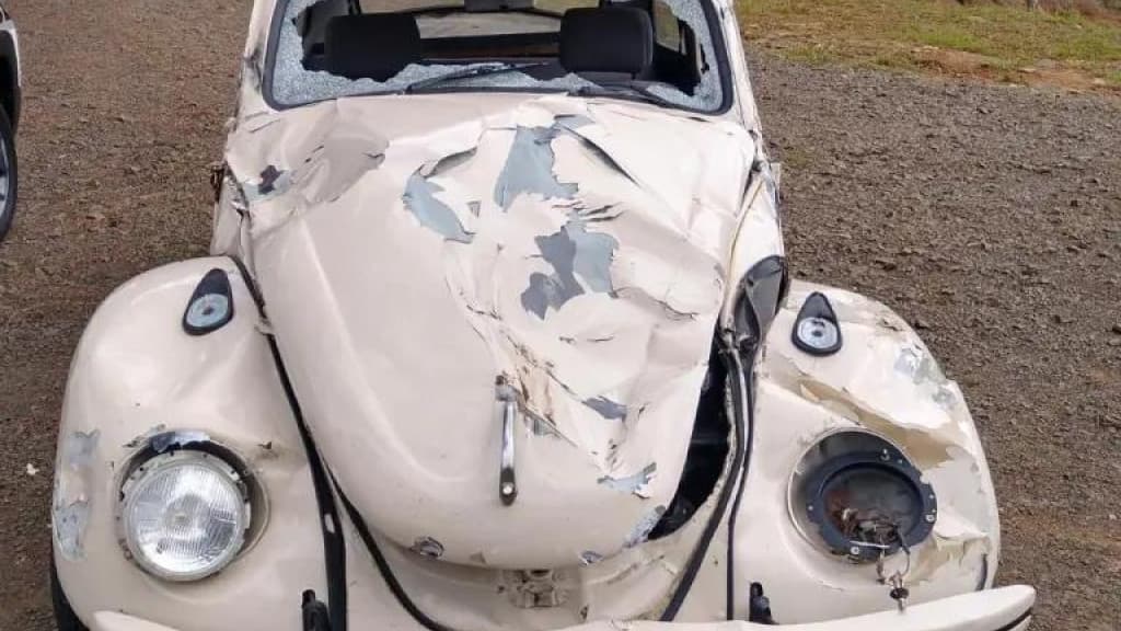Fusca fica destruído após colisão com vaca na SC-120