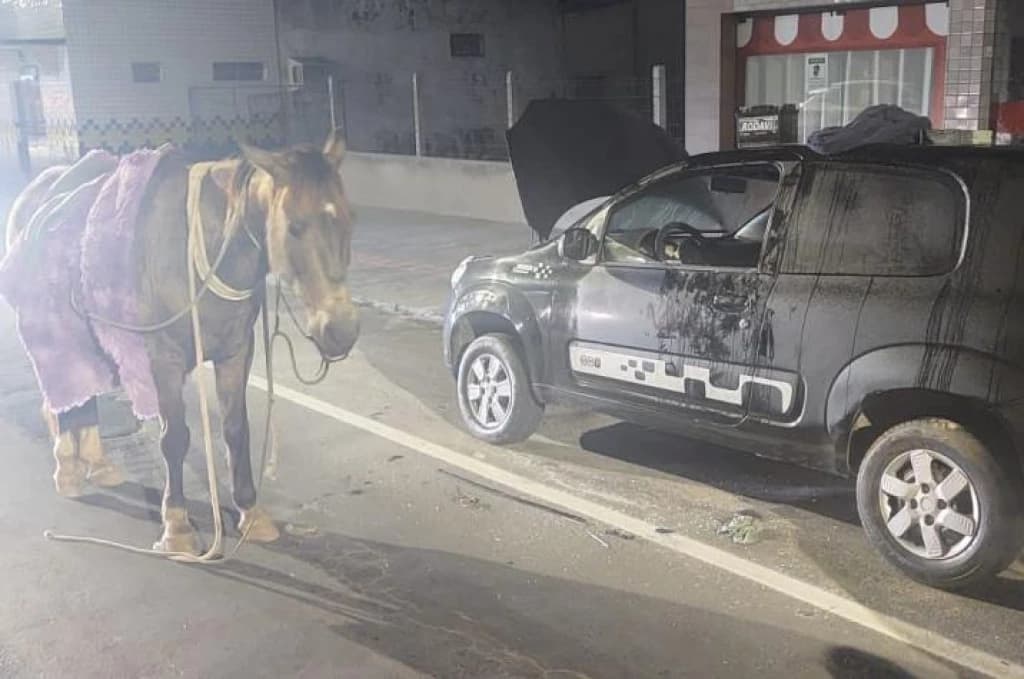 Faroeste catarinense: ladrão à cavalo arromba veículo