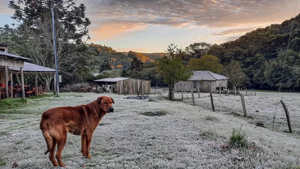Frio aumenta ainda mais e domingo promete temperaturas congelantes