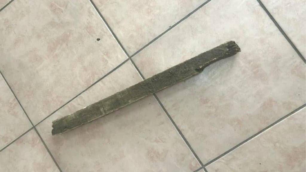 Pai de 79 anos anos leva pauladas de filho revoltado em SC