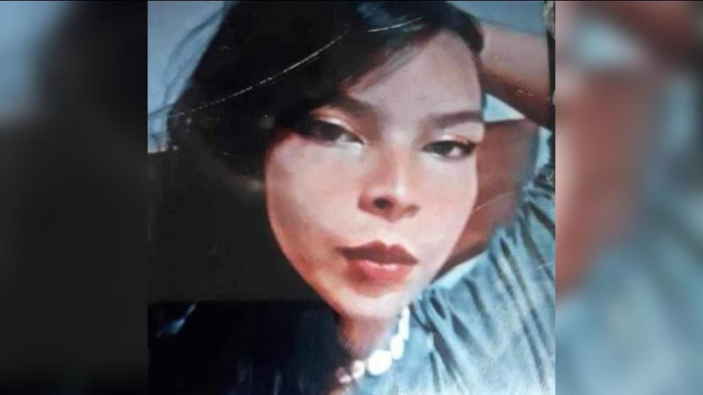 Família procura por adolescente desaparecida em Camboriú