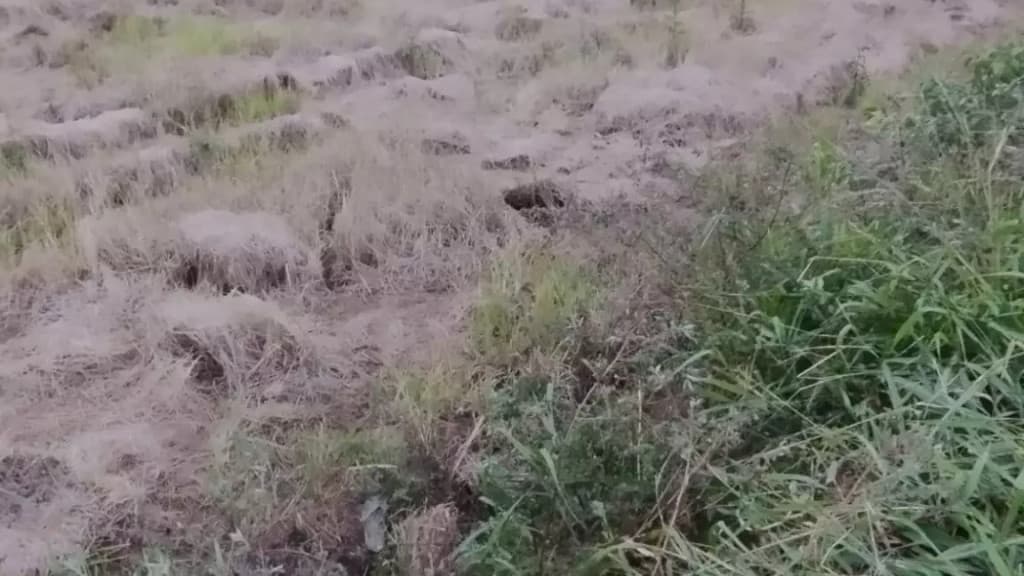 Menino foge de casa e avó se desespera: “se afogou no rio”