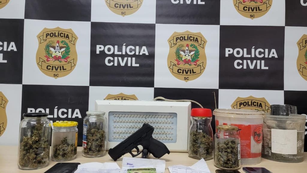 Estufa de maconha é flagrada em Itapema