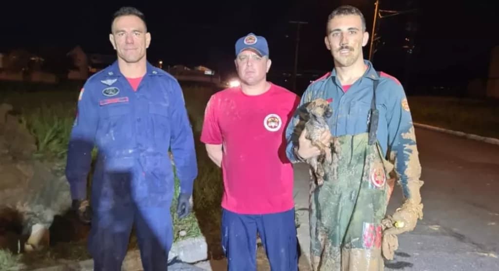 Filhote de cachorro é resgatado de duto pelos bombeiros após cinco horas