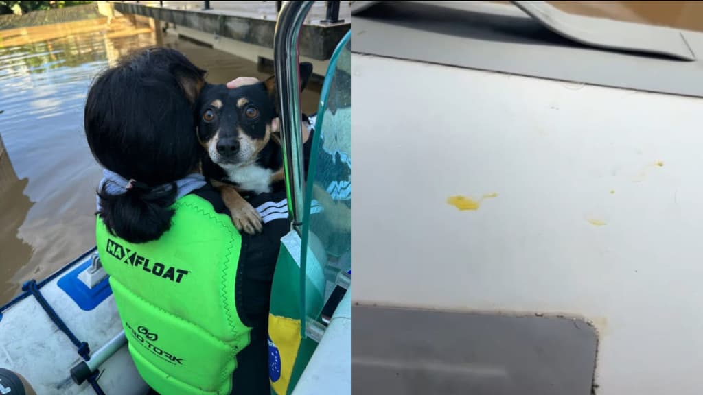 Comerciante joga ovos e chama voluntários de “vagabundos” em Taió