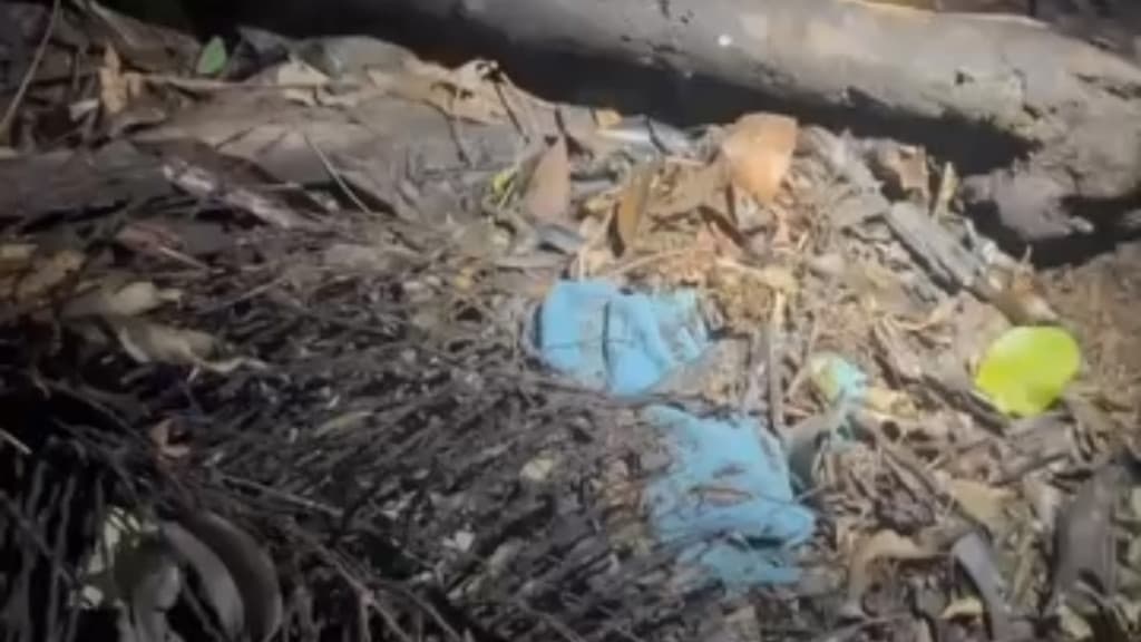 Menina teria “olhado torto” para o padrasto; ele abriu a cova com as próprias mãos