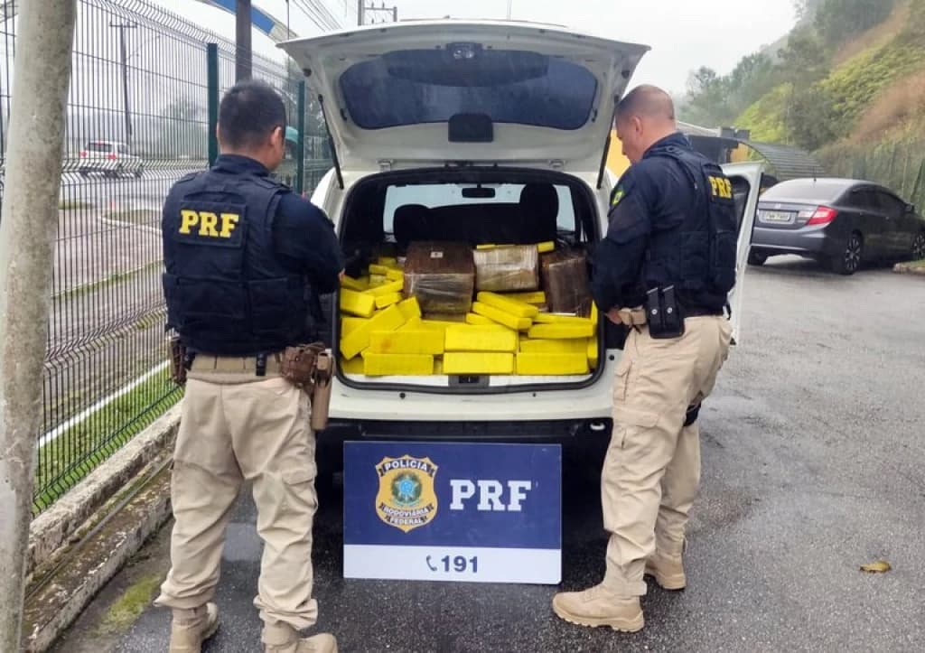 Polícia apreende mais de 700 kg de maconha e recupera veículo furtado em Itajaí