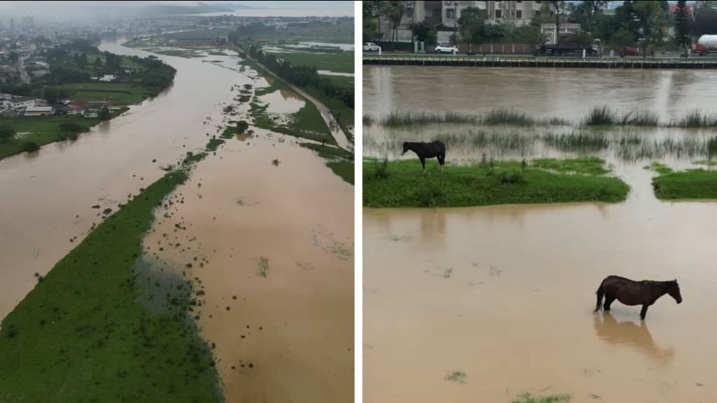 Tijucas registra 3° maior volume de chuvas em 3h; veja imagens do rio